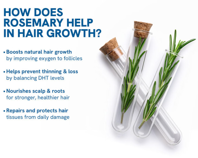 Be Bodywise™  Organic Hair Growth Serum Roll-On For Men and Women